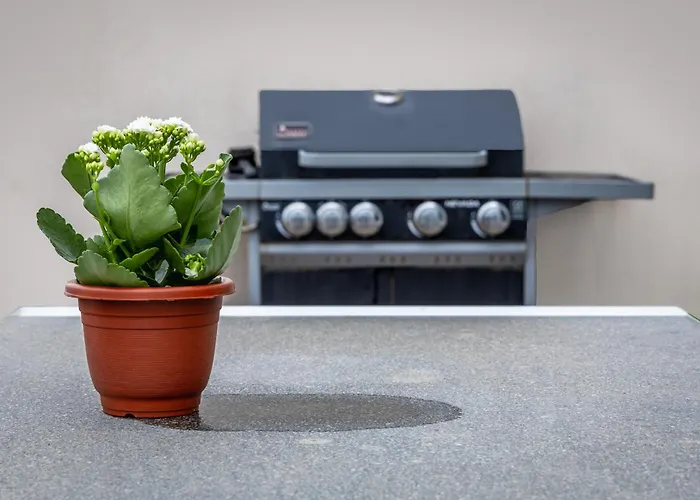 Ta Xbiex, Luxury Penthouse For Families Only, With Pool And Seaview, Malta Apartment Ta Xbiex