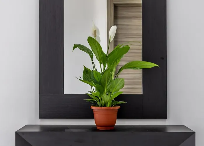 Ta Xbiex, Luxury Penthouse For Families Only, With Pool And Seaview, Malta Apartment